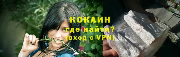 индика Богданович