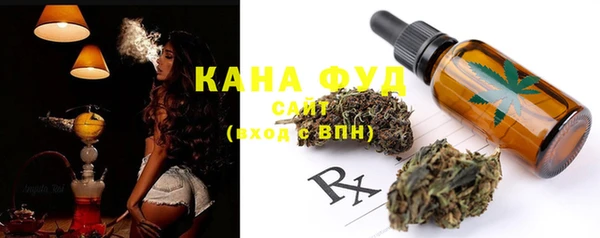 индика Богданович