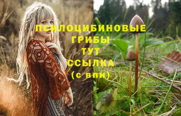 мефедрон Белокуриха