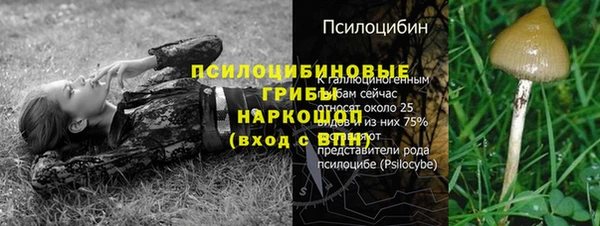 индика Богданович