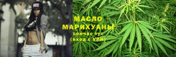 индика Богданович