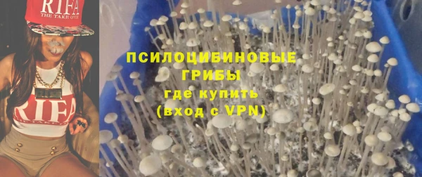 первитин Белоозёрский