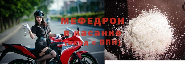 индика Богданович