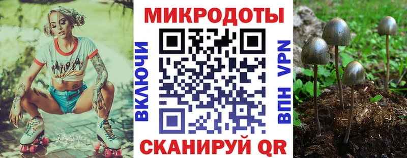 Псилоцибиновые грибы ЛСД  дарнет шоп  Медвежьегорск 